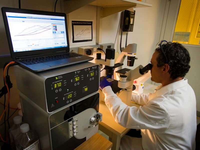 Laboratory technician observing samples under microscope