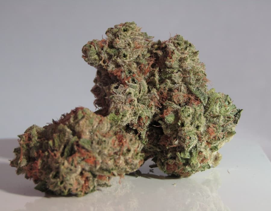 Blue Zushi — sticky resin cannabis bud macro